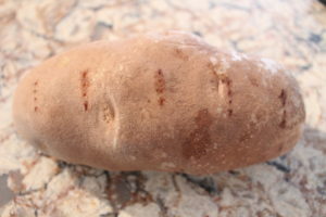 Ultimate Twice Baked Potato Recipe