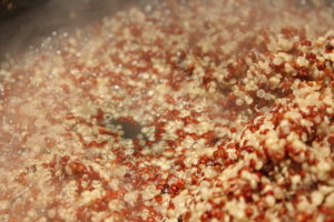 Cranberry Almond Quinoa Bars