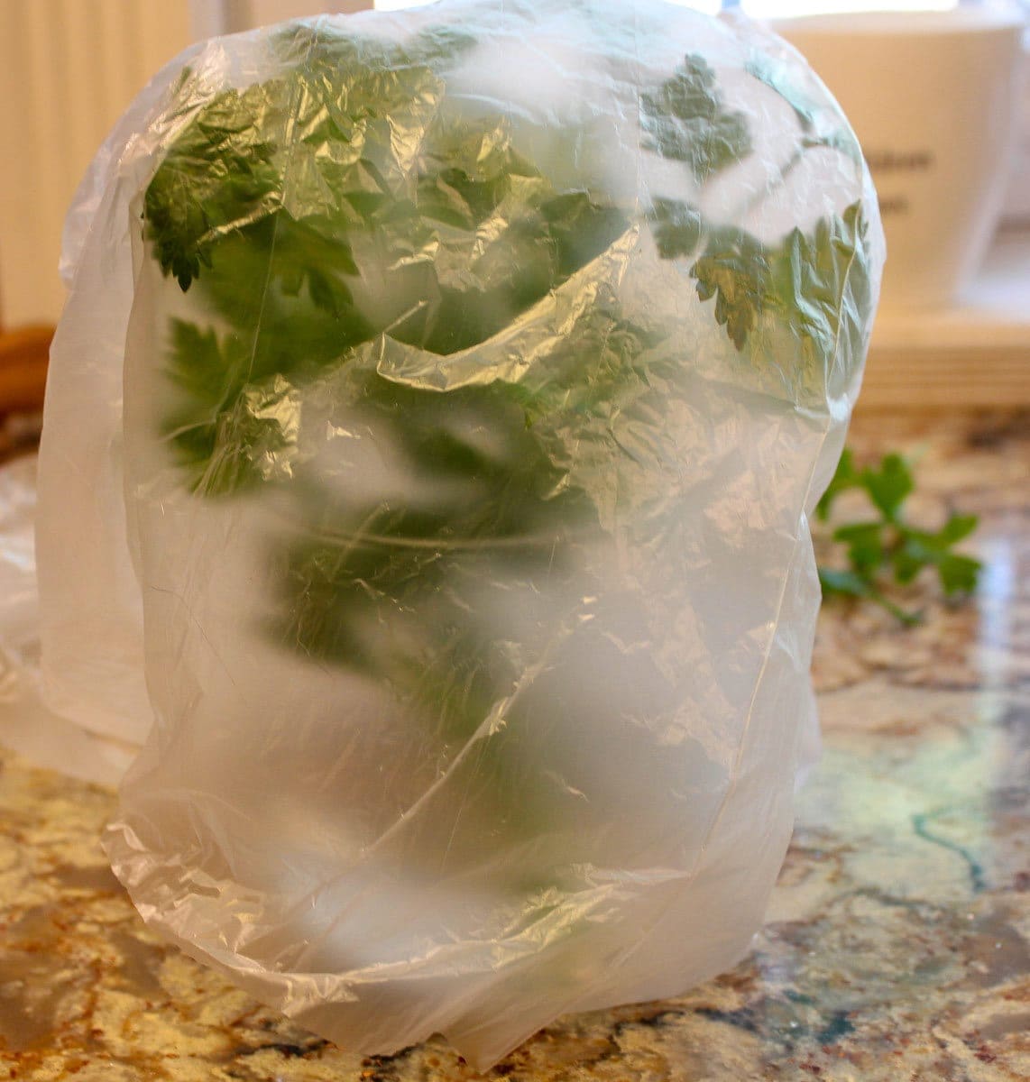 parsley in a glass