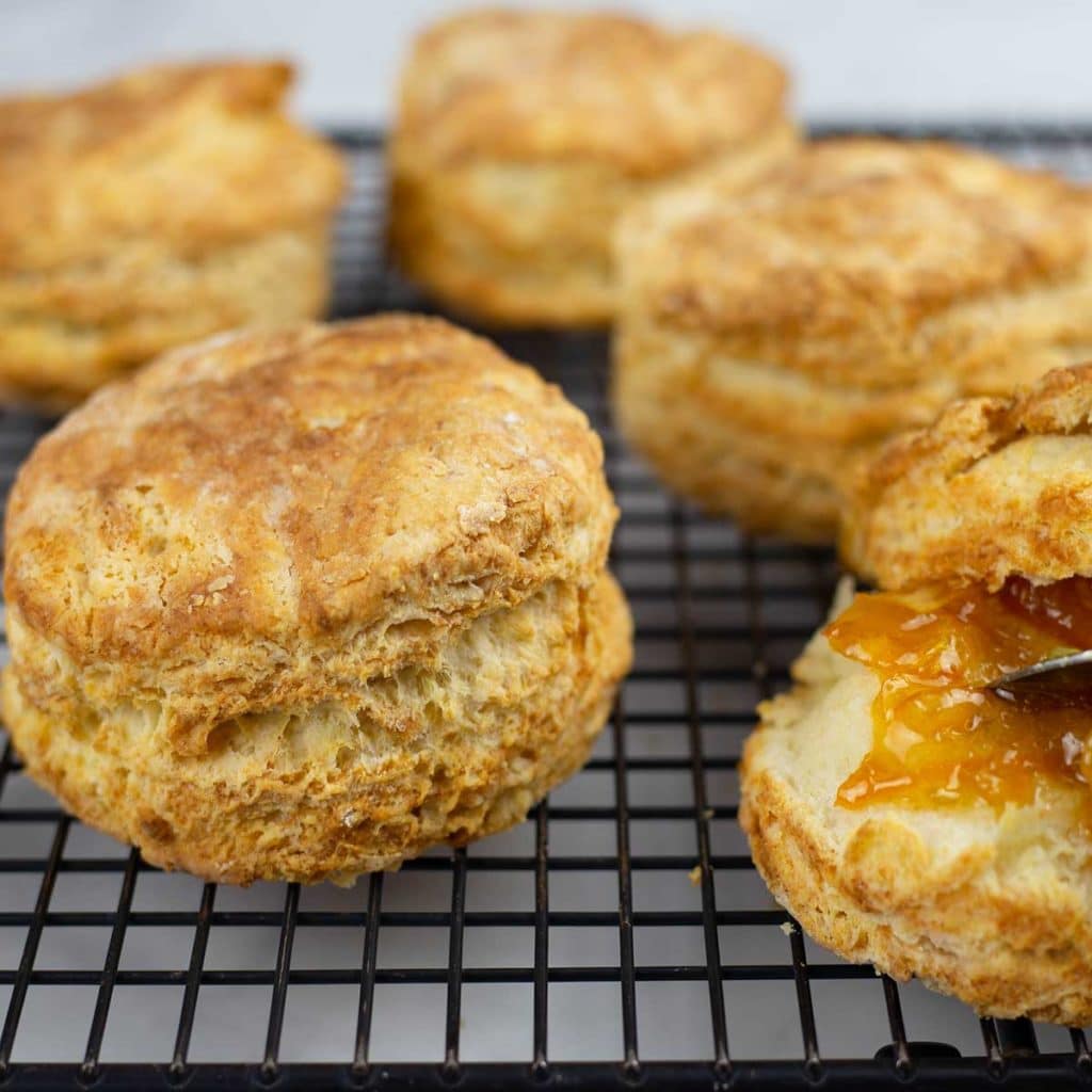 Easy Homemade Biscuits made in the Ninja Foodi (oven instructions too