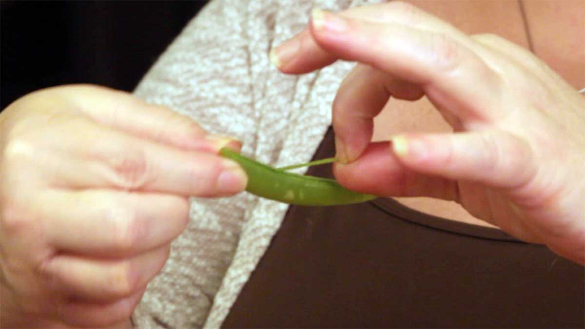 pulling the string from the sugar snap pea