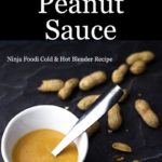 Homemade Peanut Sauce in a bowl with peanuts beside it