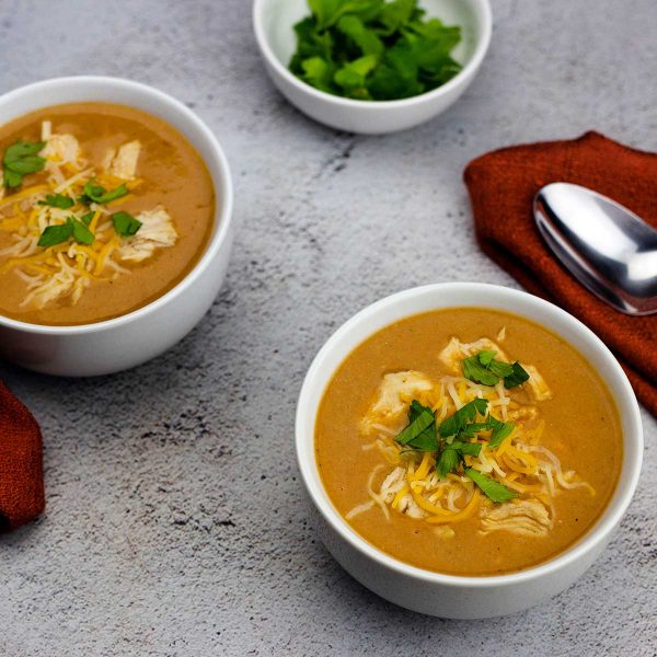 Ninja Foodi Soup Recipes & Tips for Soup Making! The Salted Pepper