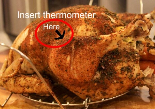 Ninja Foodi Whole Chicken ~ 4 Cooking Techniques The Salted Pepper