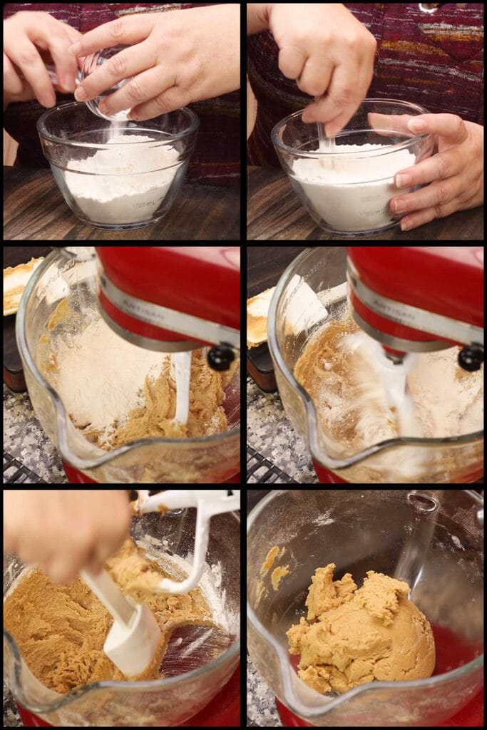 mixing the dry ingredients together in a medium size bowl