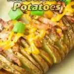 Hasselback potato with cheese, bacon, green onions on top and sour cream green onions and cheese on the side.
