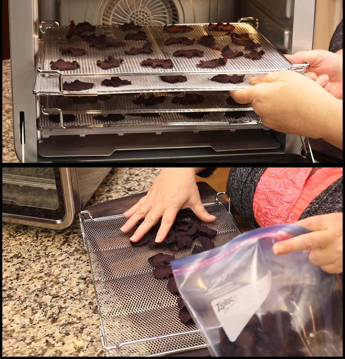 removing dehydrating trays and putting dehydrated beets into a ziplock bag.