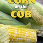Pressure Cooked Corn on the Cob with the husk partial peeled back.