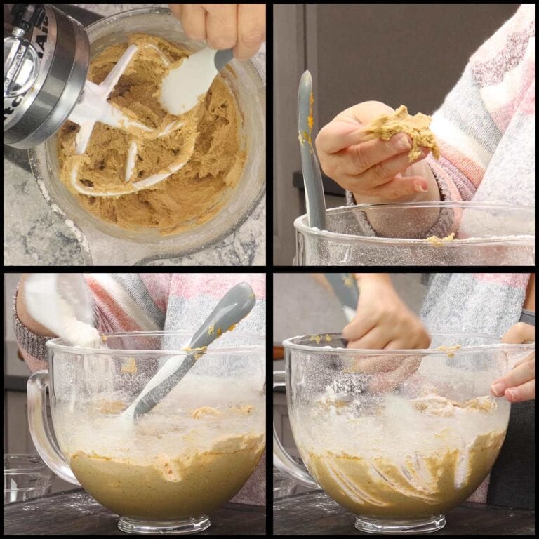 Pumpkin Biscotti The Salted Pepper