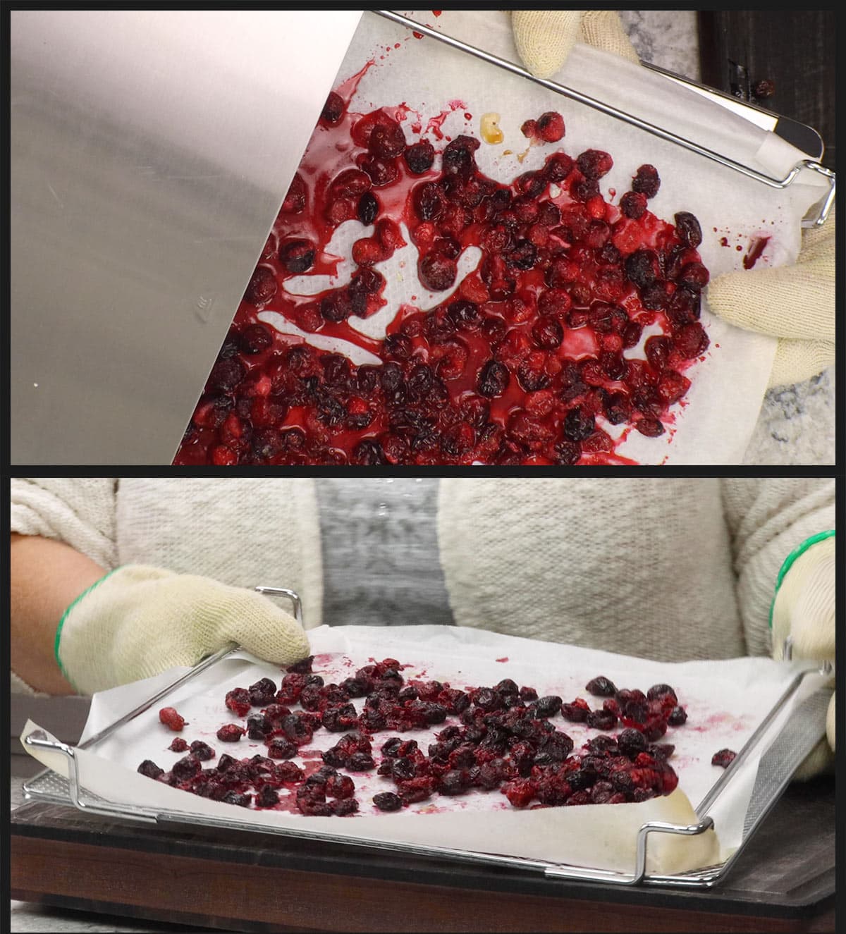 dehydrated cranberries coming out of the dehydrating oven.