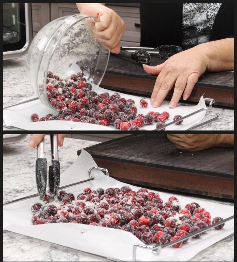 How to Dehydrate Cranberries The Salted Pepper