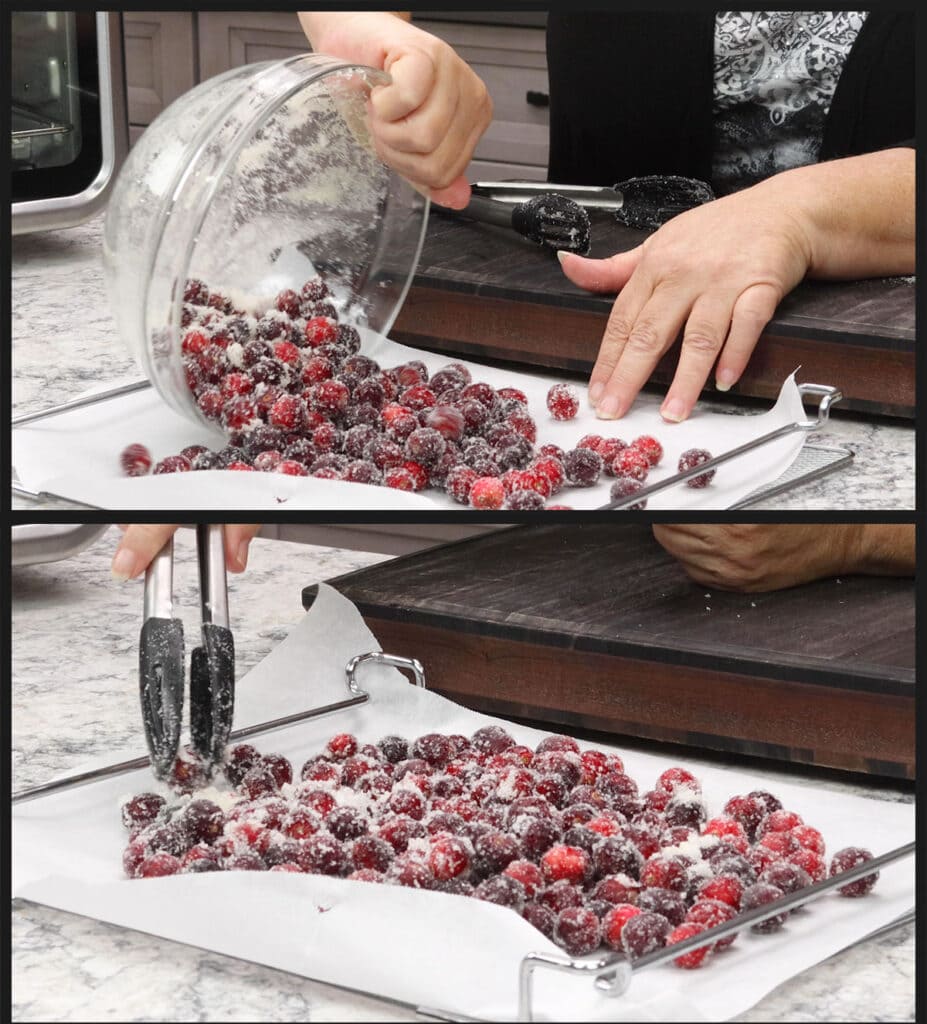 How to Dehydrate Cranberries The Salted Pepper