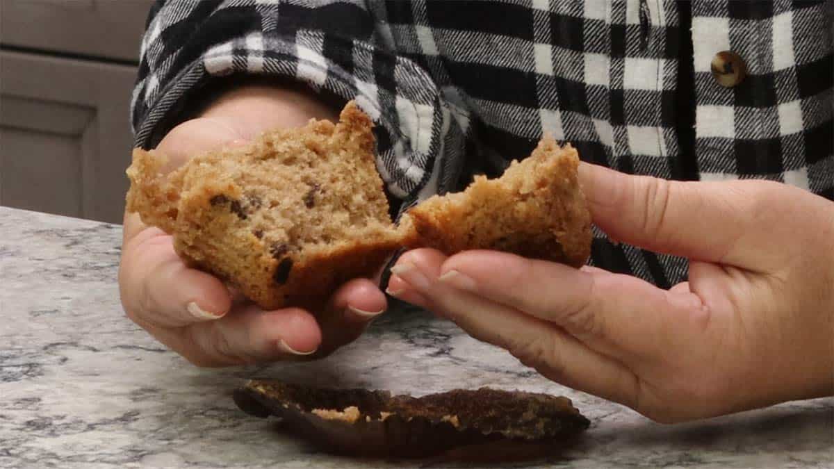 breaking open a muffin. 