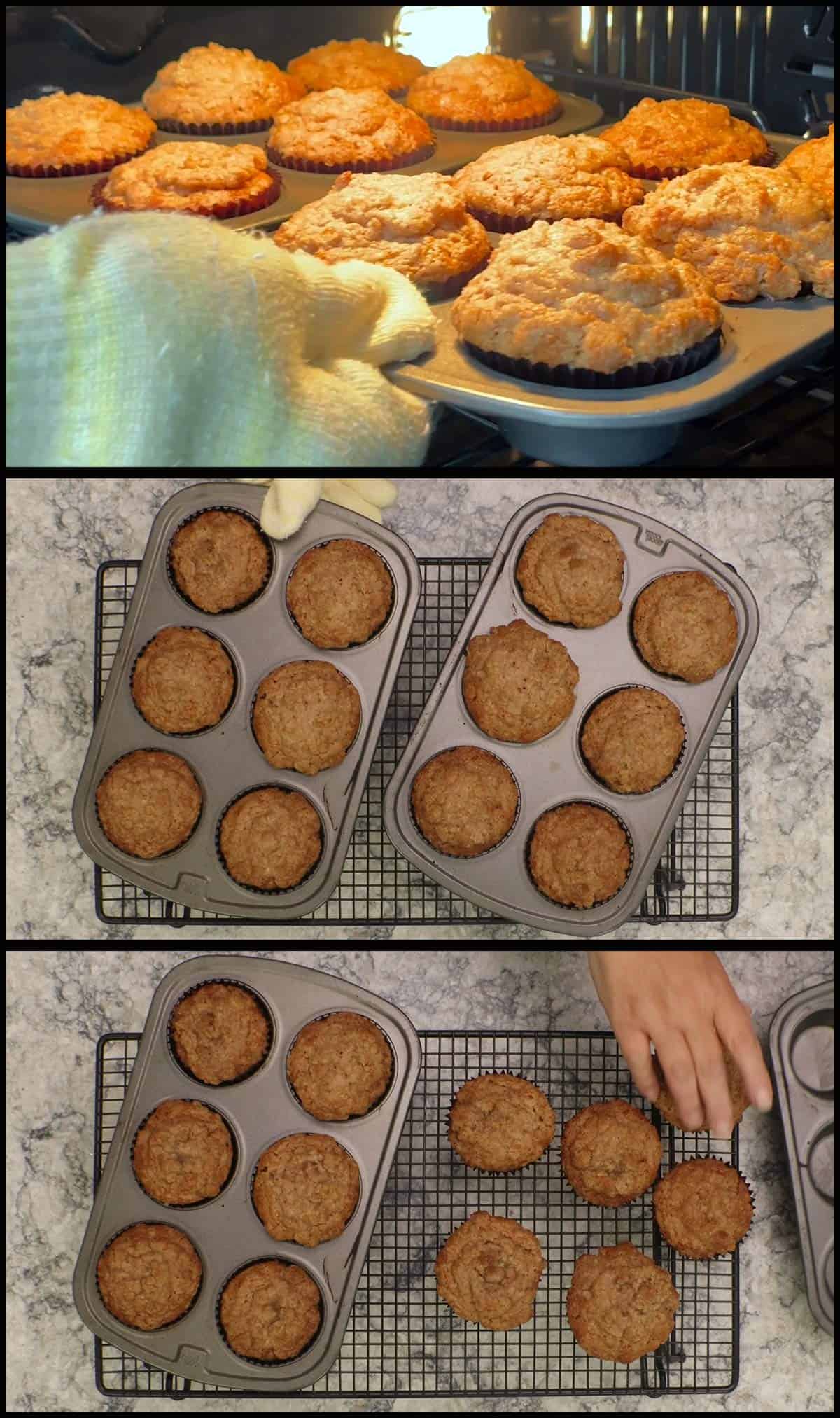 removing baked muffins from the oven and letting them cool. 