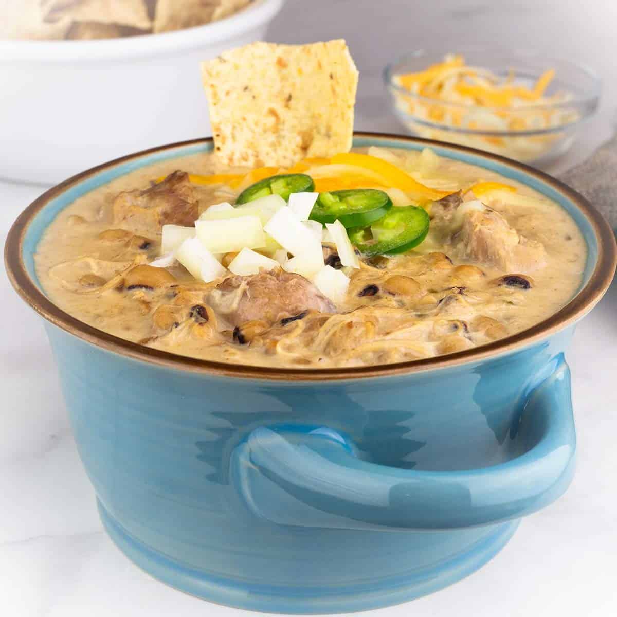 Ninja Foodi Mississippi Chicken Noodle Soup (Electric Pressure Cooker) -  Recipes That Crock!