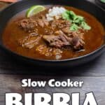 Large bowl of birria stew with garnishes.