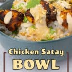 Chicken satay with rice and garnish in a blue bowl.