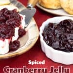 Cranberry Jelly in a white bowl next to bagels and cranberry preserves on top of cream cheese with crackers on a platter.
