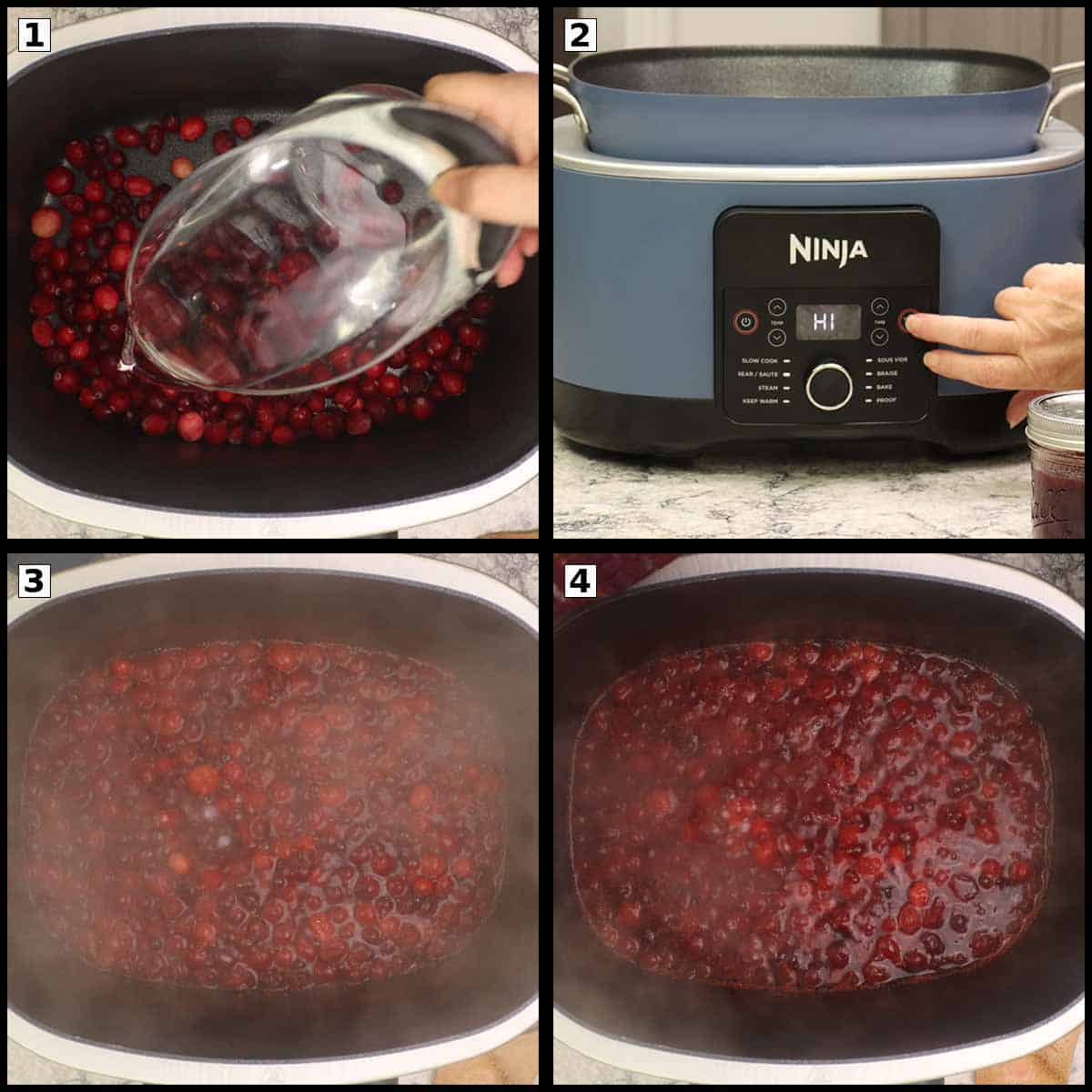 Cranberries and water in the pot to boil so they release their juice.