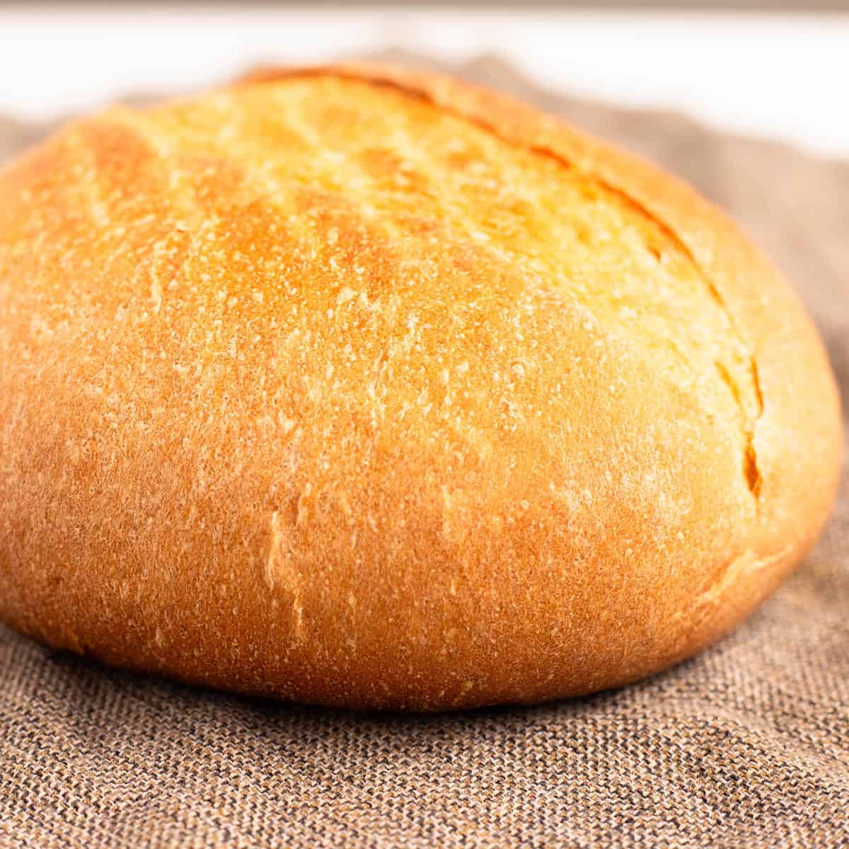 Ninja Possible Cooker Pro Bread photo unsliced.